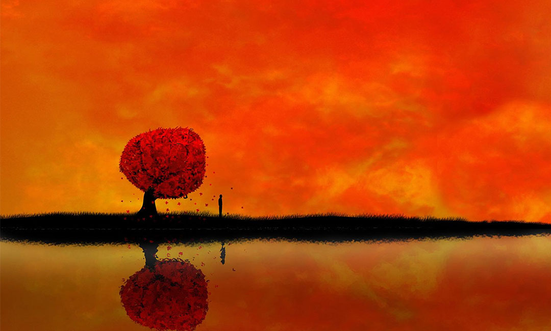 兰州笙影微信朋友圈转发案例